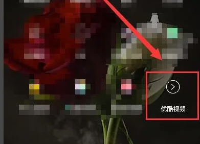 ſappôӺ ſapp鿴עѽ̳