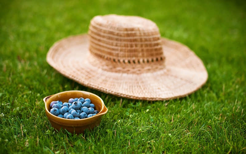 2?2?/??.????簲Ȧ·ҪǰߣҪǰ...