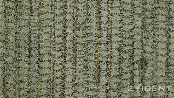 ƻһͻƣiPhone Air USB-Cӿڲ3Dӡ