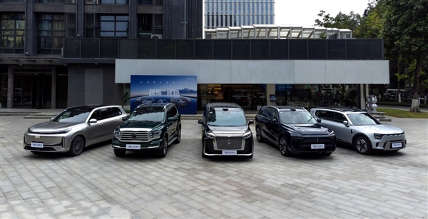 Ԫйҵɼһ꽻20 10µռʽ40%