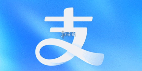 ֧�����������