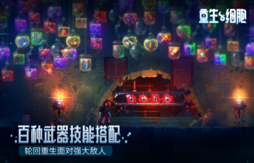 2025���Ŷ������������Ƽ�������������ֻ���Ϸ�ϼ�