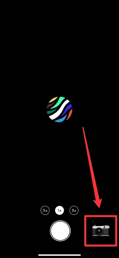 dazz��ôȥ������ ���������������