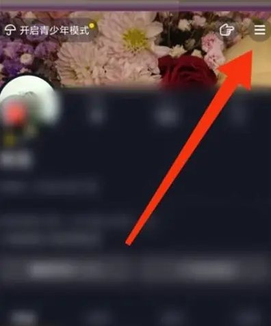 �������ٰ���ʾˢ������� �������ٰ�鿴�˵���ϸ����