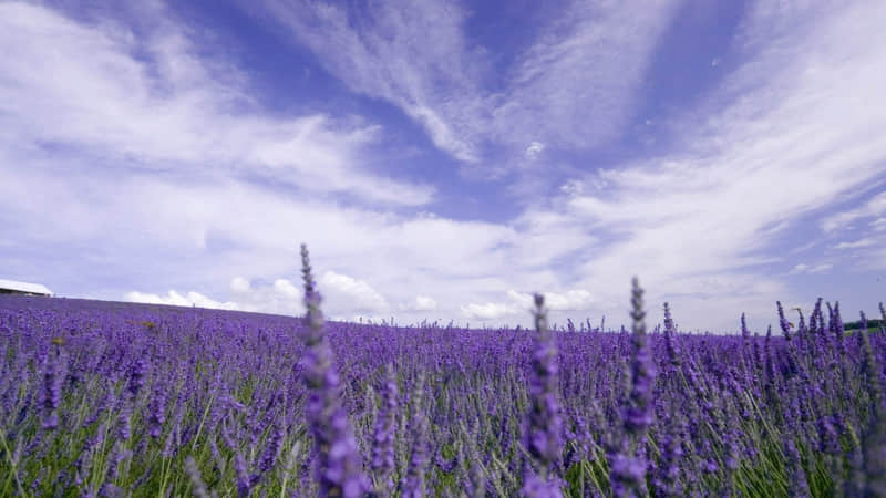 ϰʱ㣬ôȦ̫иоˡ??