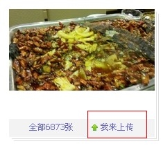 ���ڵ���Ϊʲô����ѡ��������Ƭ �ϴ�ͼƬ����