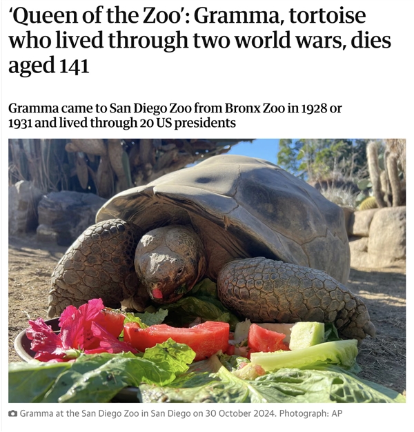 20λͳִ Լ141꣺԰곤Ĺ걻