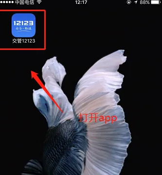 ����12123��ô�����ָ���ʻ�ʸ�ҵ�� ����12123��ʻֹ֤ͣʹ�ûָ�����