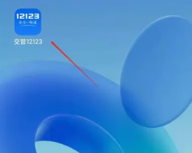 ����12123��νɷѿ�Ŀһ ���������������