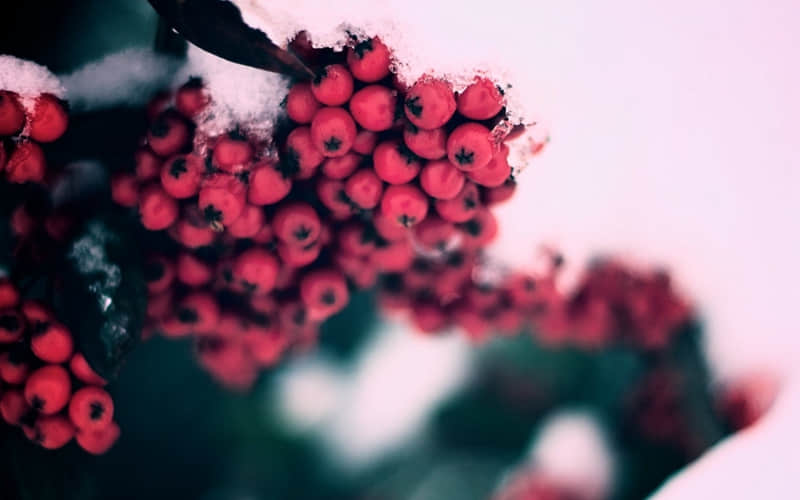 "??Ȧ?????ӵ???????İ"