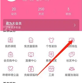 ����������ô�������� ���������������