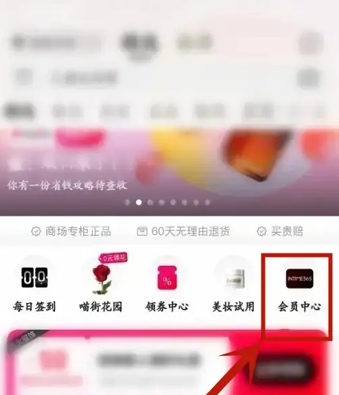 ����vvip��ô��� ����app����Ա����һ��