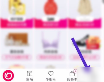 ������ν��֧���� ���ֽ��֧������������