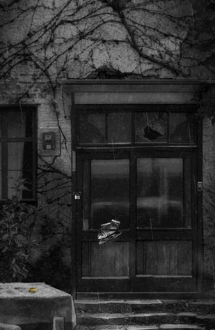 2025�����ܻ�ӭ����լ�ֲ������Ƽ�������ʽ�������ϼ�