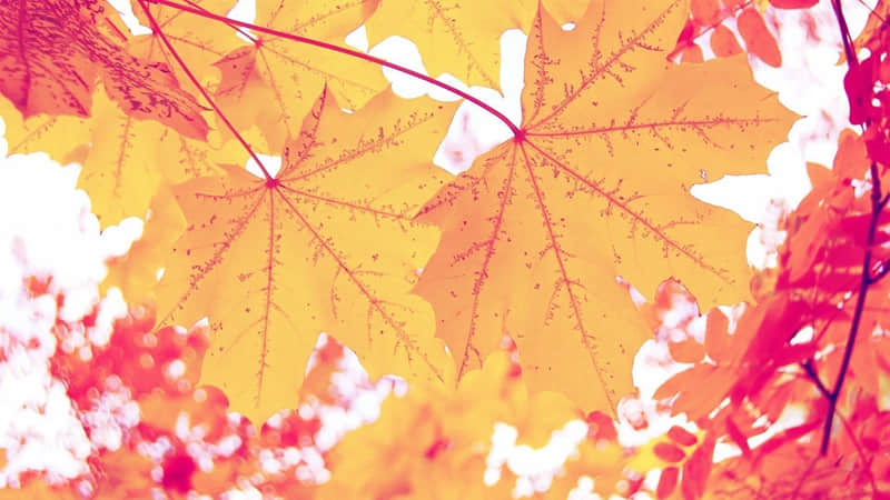 ��ȫ������ͳһ�������ɣ���6�����ˡ�