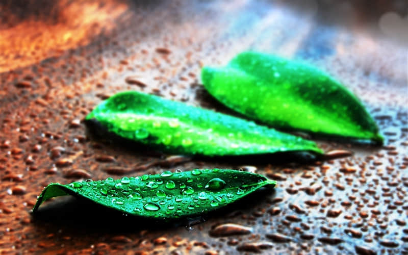 ����Խ����˵��ĳ��Խ��������ϵ�㡱