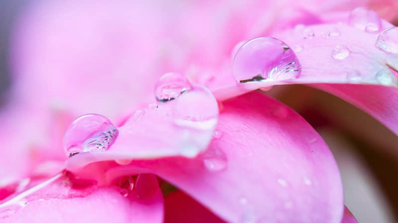 �����Ӻ̣ܶ�ȴ������������