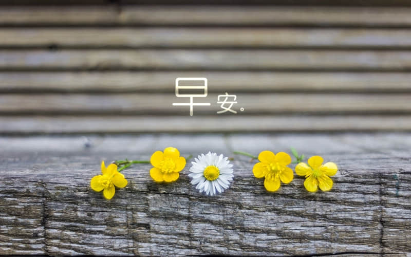 ���й��ĺ�˵�˵���Ц�İ�����һ��Ц�����Ȧ