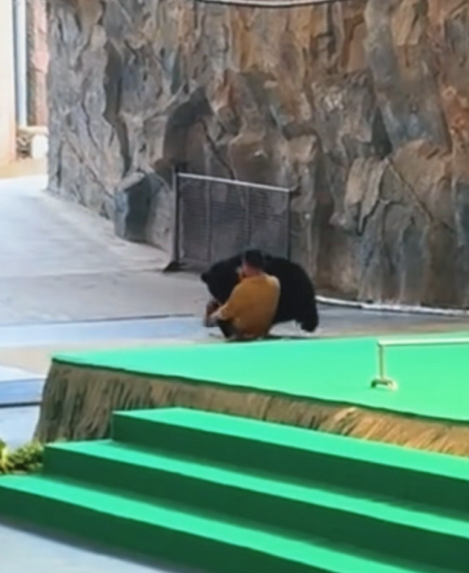 ���ܱ���ͻȻ��������Ա ����Ұ�����������Ӧ������ȡ����Ϊչʾ