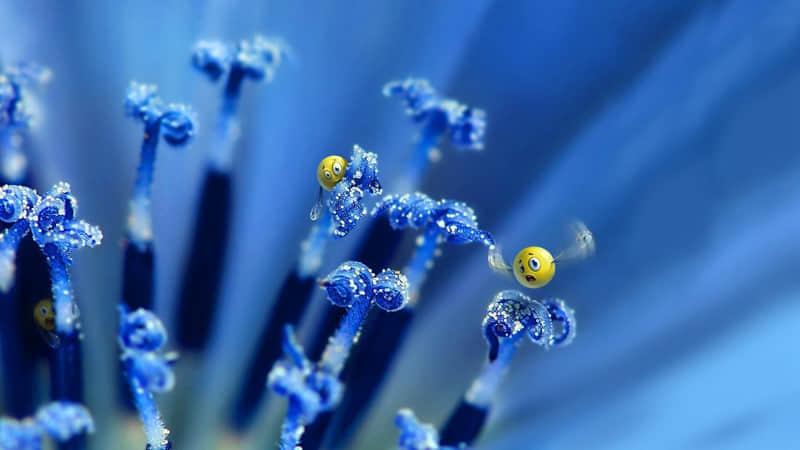 ��ԭ��ʧ������д����ô�ۡ�