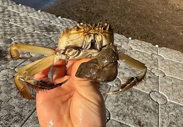 ��բз��ŷ�����ĳ��� Ϊ�����Ǵ������ԣ�ԭ�����������