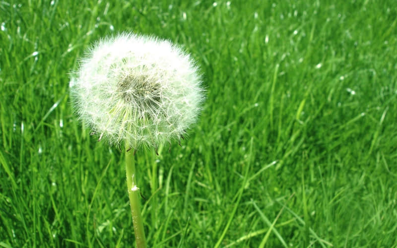 ��һ�仰�������˺�����족