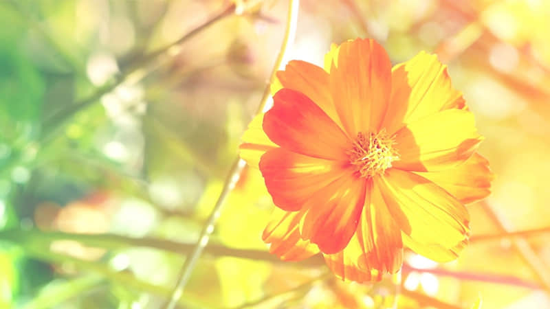 �� ûǮ�������������Ϲ�����ҪǮ ��