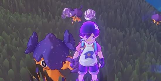 ���������������ʲô����