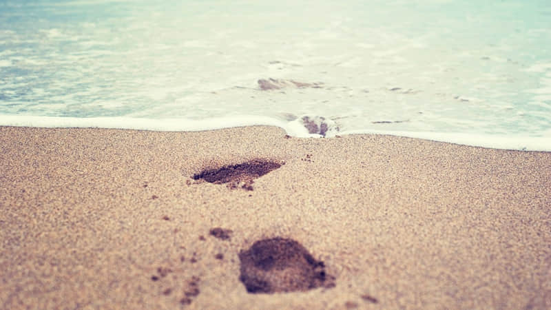 �������İ���������ѣ����������