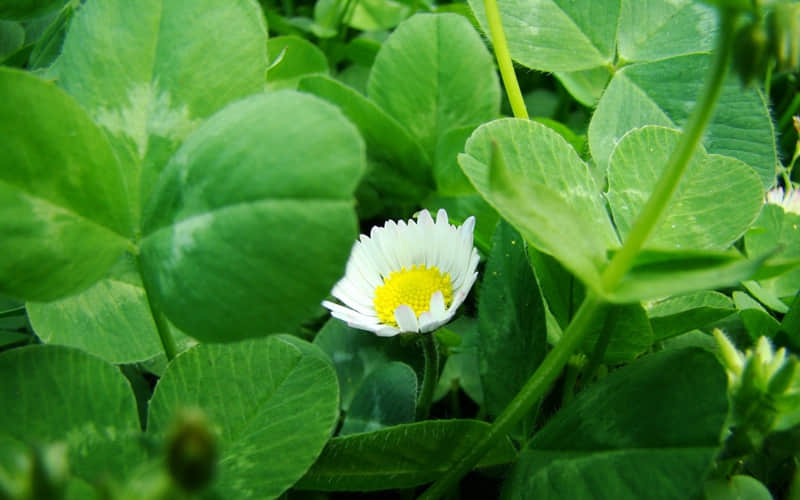 ����������������������