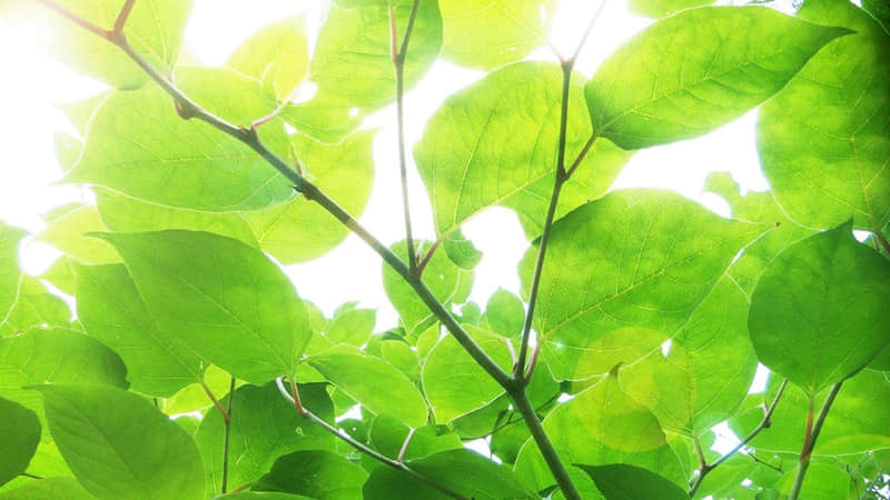 ��Ů��Խ����˵������Խ��ʧȥ�㡱