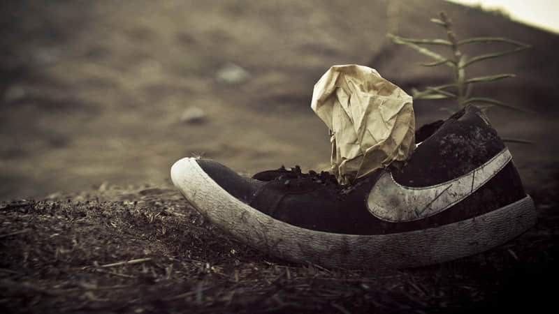 ������������һ����ĺø�磡��