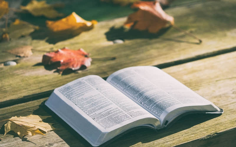 ���߼�������ȵ�����Ȧ��Ӧ����������