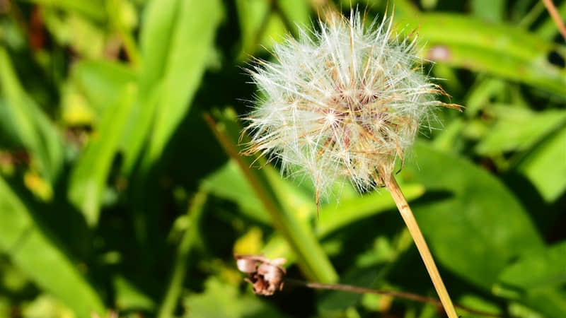 ����һ����ȥ�����������Ȧ��