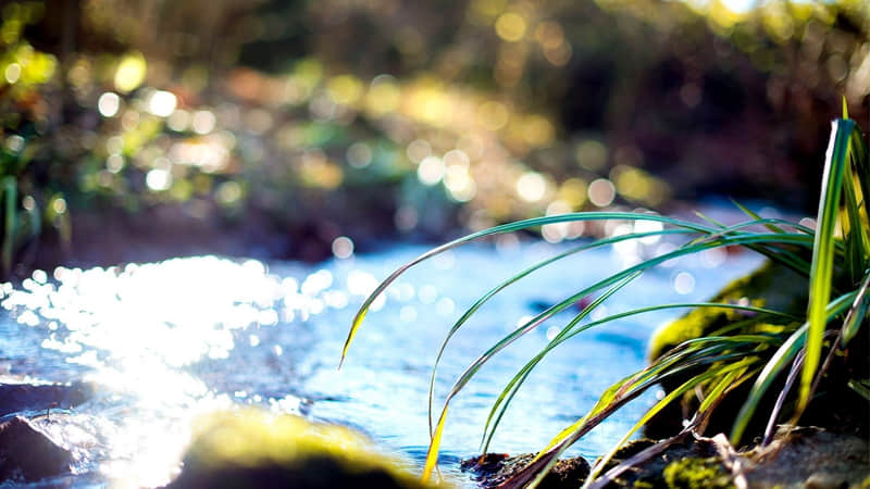 ��������Ȧ�����ио��ޡ�