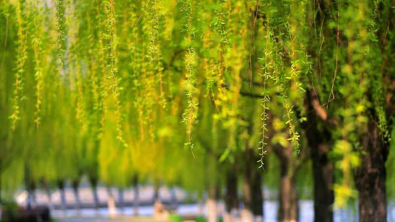 "��һ��ɣ��������Ȧ�ᱻ���ã�"