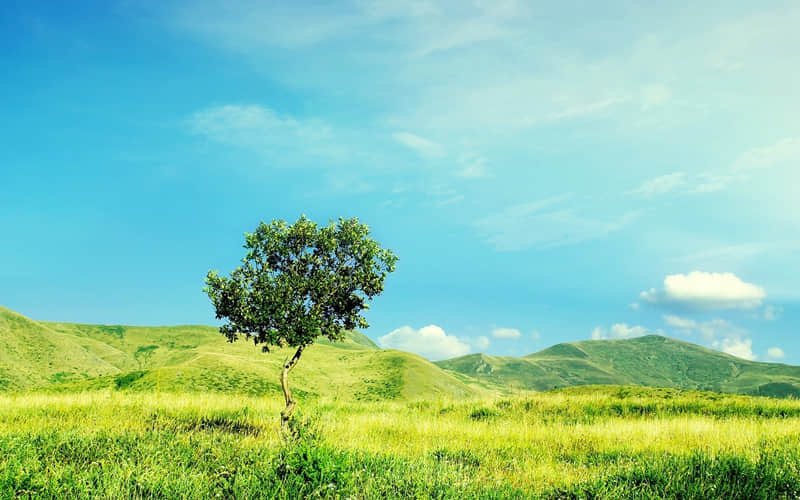 ���Ʊ�ʽ���죬��ĳ����ء���