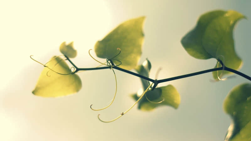 ���Է�˵���š�Ŷ�����һ�仰��������