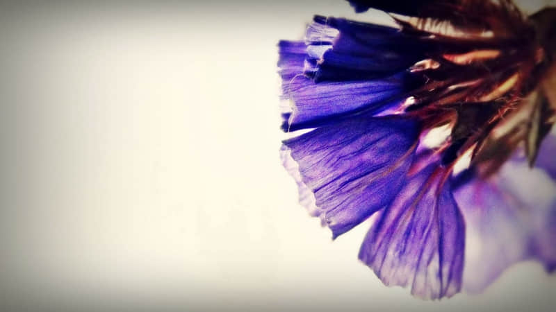 ��22/. Сѩ�����İ�����������Ȧ ��