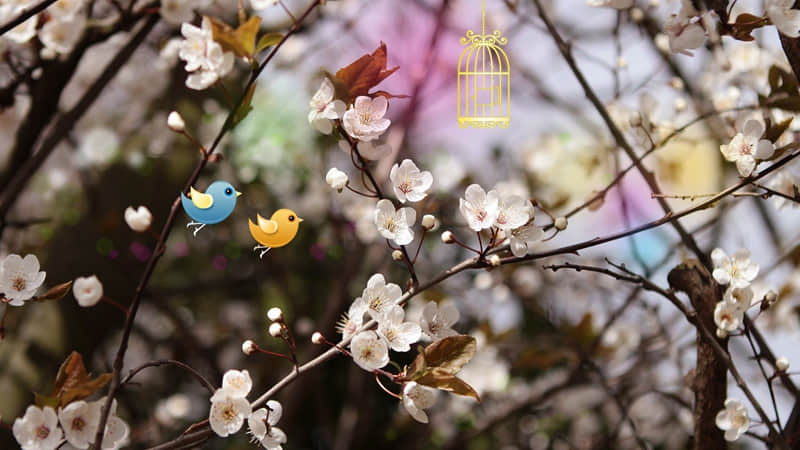 �����ṩ������ֵ�����ˣ�û��Ů���ܿ��ܡ�