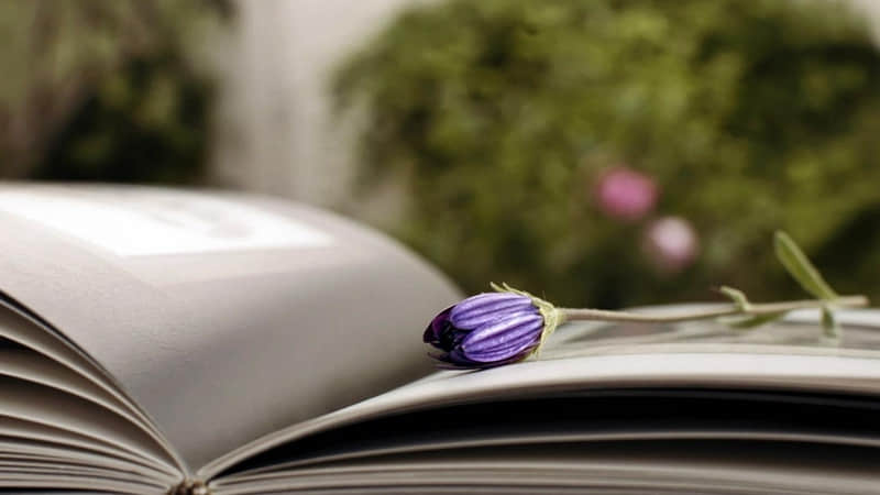 ��22/.Сѩ�����������ио�~��