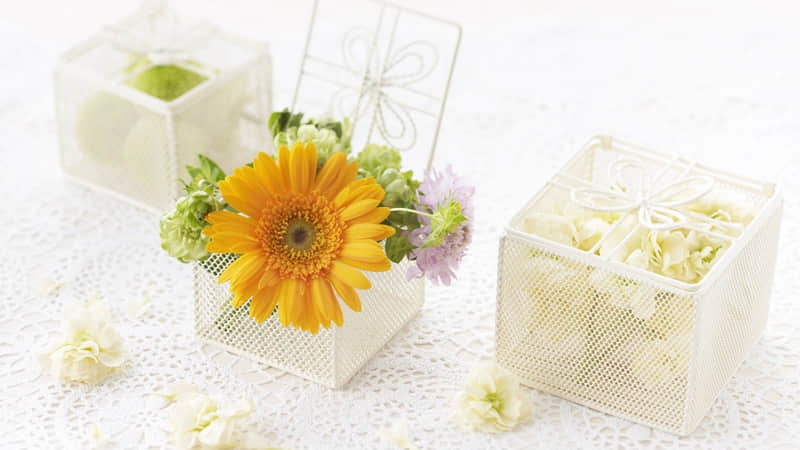 ������������ĺܳ���һ�ס���