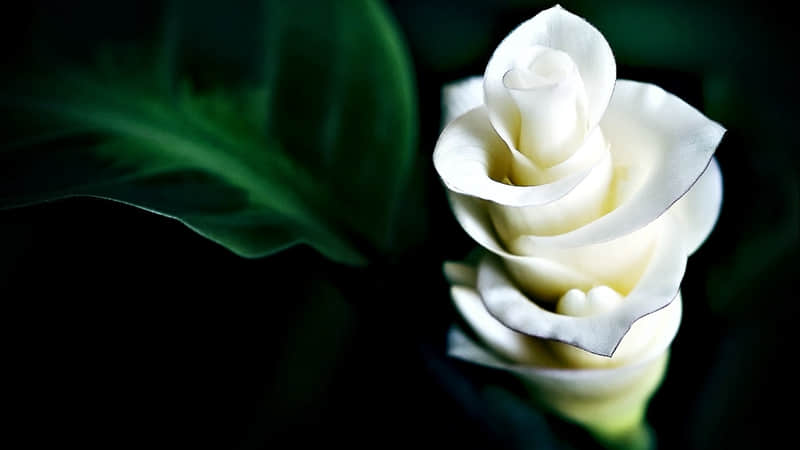 ��һ�仰���öԷ��п�Ƿ�С�