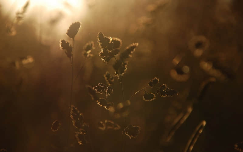 ���Ϲ���������9���������氮��