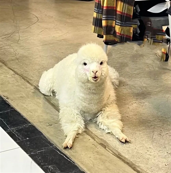 ���׾��͹������Ķ������ 10�꿪��400�һ����