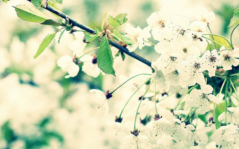 �������ö��ܾõ������İ���