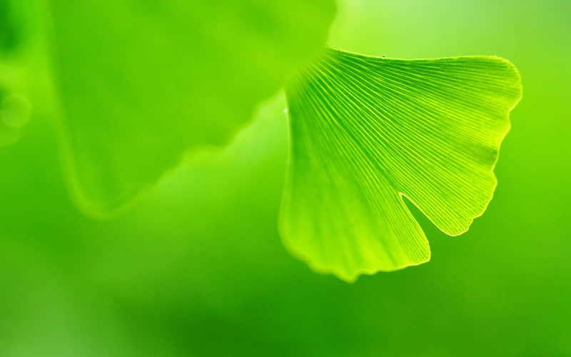 Ů�˰����9��������Ӧ