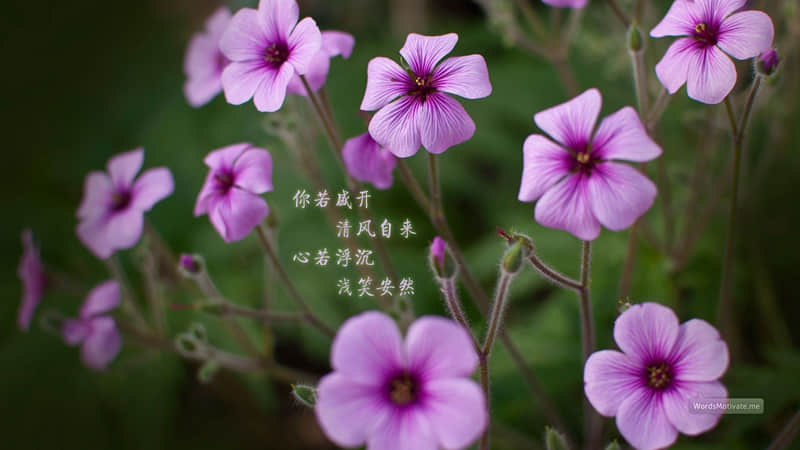 �����˰����9��������Ӧ??��