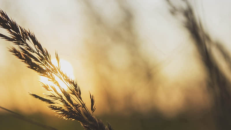 ����һ��ȥ������������ѡ�??