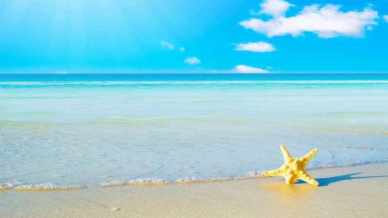 ��ѡһ�䣬Ц�����ٶ�ͨ���ˣ�